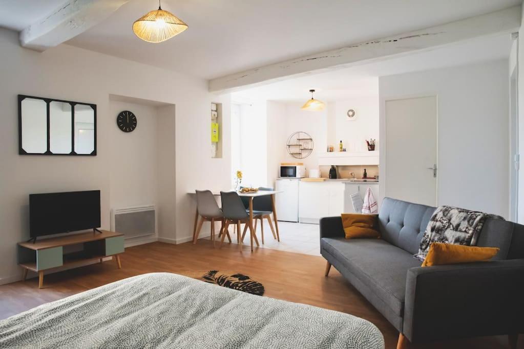 Grand L'hermitage Apartment Sainte-Gemme-sur-Loire